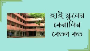 Read more about the article হাই স্কুলের কেরানির বেতন কত ২০২৪