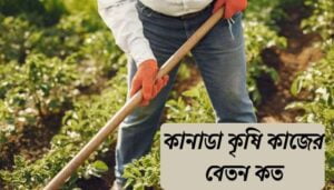 Read more about the article কানাডা কৃষি কাজের বেতন কত ২০২৪