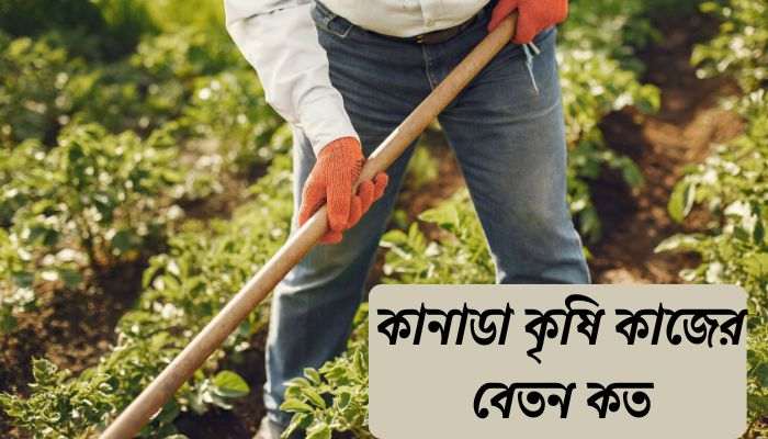 Read more about the article কানাডা কৃষি কাজের বেতন কত ২০২৪