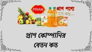 Read more about the article প্রাণ কোম্পানির বেতন কত ২০২৪