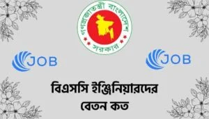 Read more about the article বিএসসি ইঞ্জিনিয়ারদের বেতন কত