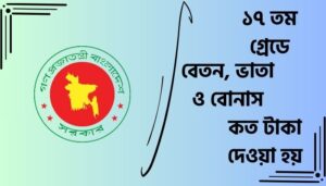 Read more about the article ১৭ তম গ্রেডে বেতন কত টাকা ২০২৪
