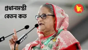 Read more about the article প্রধানমন্ত্রীর বেতন কত ২০২৪