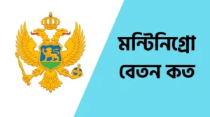 Read more about the article মন্টিনিগ্রো বেতন কত ২০২৪ । যেতে কত টাকা লাগে জানুন