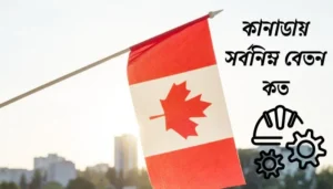 Read more about the article কানাডায় সর্বনিম্ন বেতন কত 2024