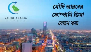 Read more about the article সৌদি আরবের কোম্পানি ভিসা বেতন কত