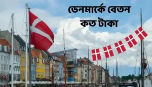 Read more about the article ডেনমার্কে বেতন কত 2024