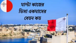 Read more about the article মাল্টা কাজের ভিসা একমাসের বেতন কত
