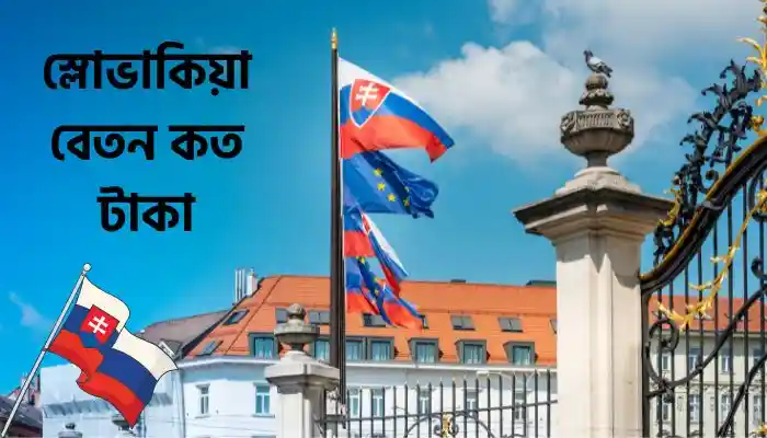 Read more about the article স্লোভাকিয়া বেতন কত